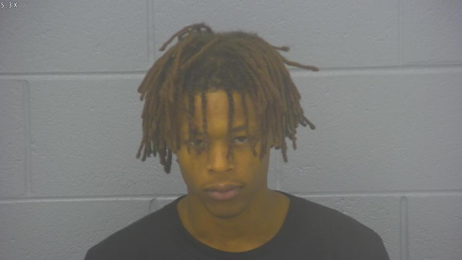 Arrest photo of DEVIN BROWN