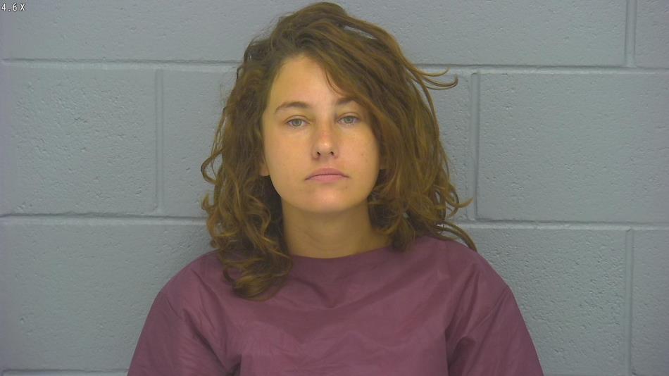 Arrest photo of DEVIN HOYER