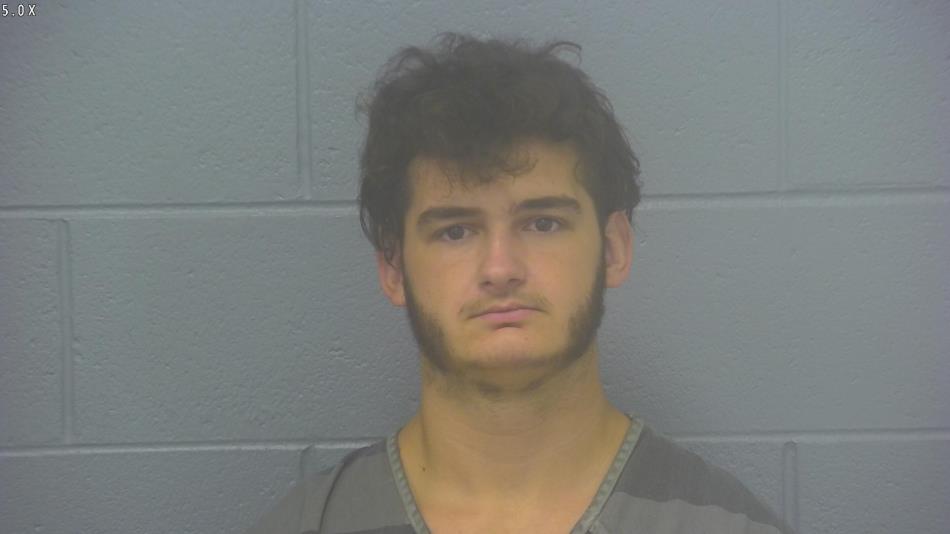 Arrest photo of DEVIN SALLEE