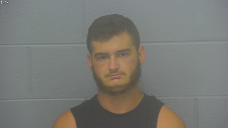 Arrest photo of DEVIN SALLEE
