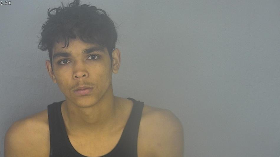 Arrest photo of DEVON  LEWIS