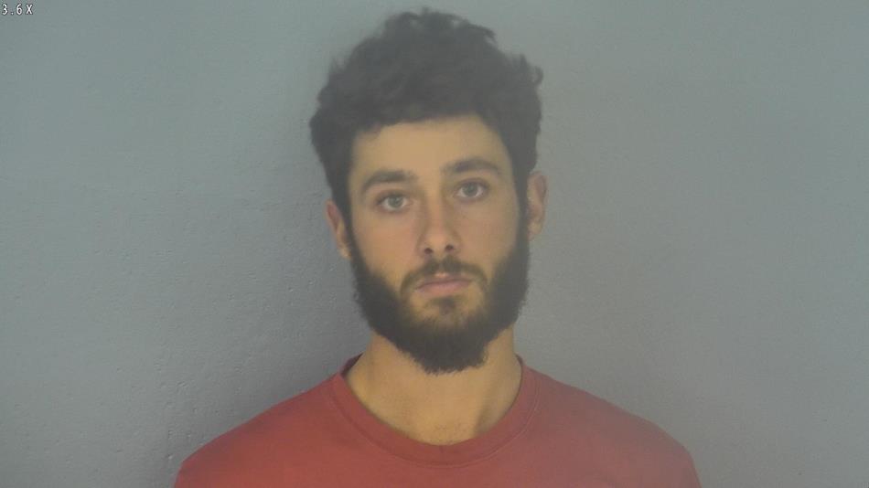 Arrest photo of DEVON SYLVIA
