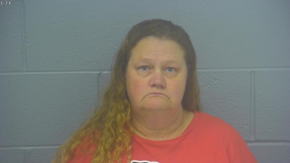 Arrest photo of DIANA VOLKMAR