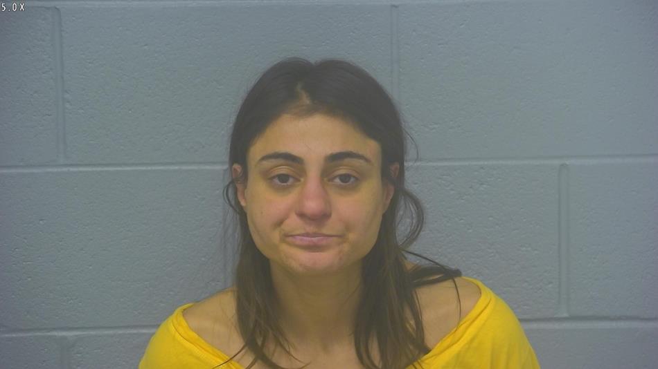 Arrest photo of DIANA TATARIAN