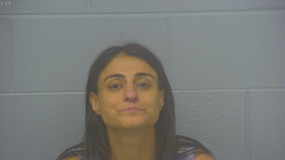 Arrest Photo of DIANA TATARIAN, arrested on 7/9/2024