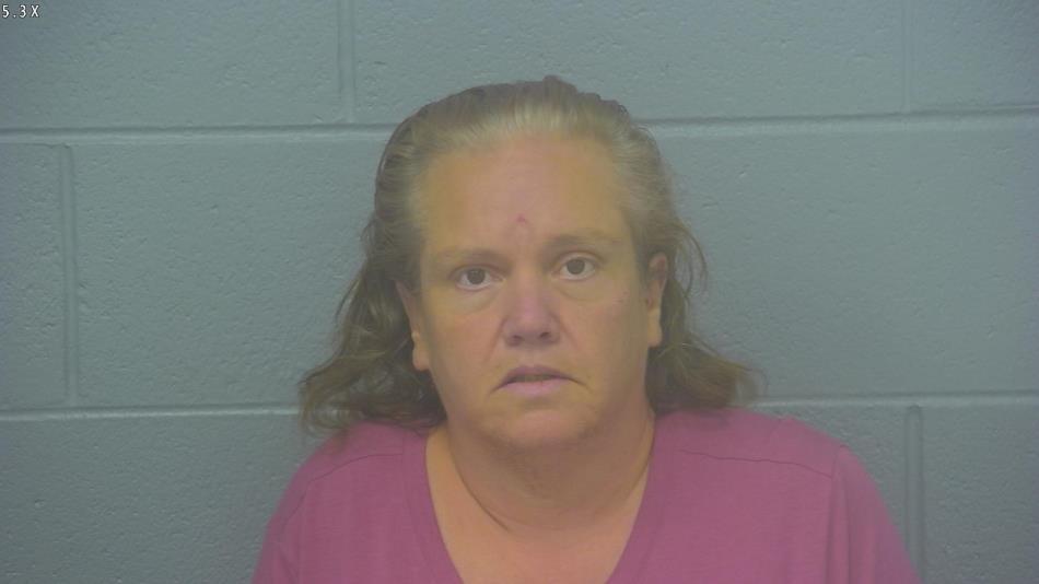 Arrest Photo of DIANA SUMMERS, arrested on 5/15/2024