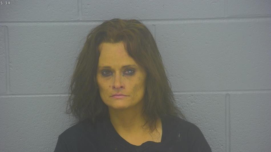 Arrest photo of DIANE THOMPSON