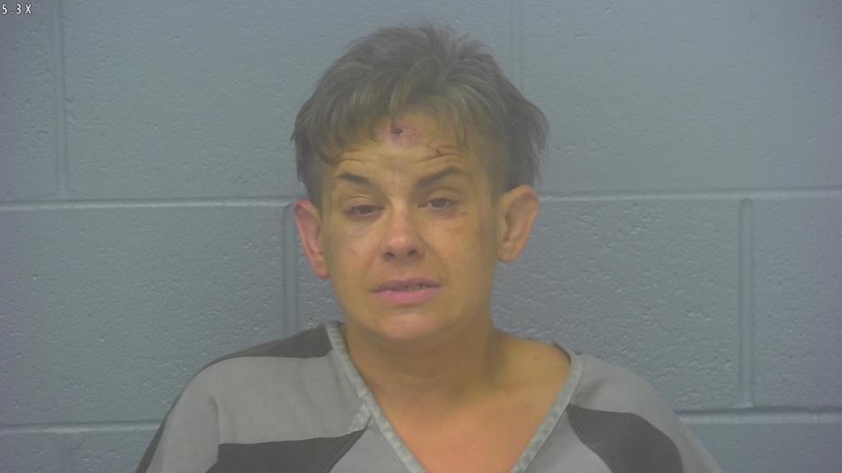 Arrest photo of DIANE LAFFERTY