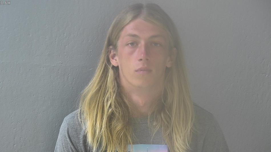 Arrest photo of DILLAN FOLTZ