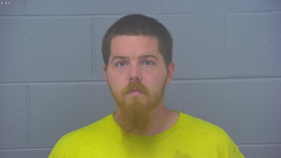 Arrest photo of DILLON MCCANN