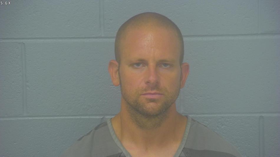 Arrest photo of DILLON HOLLAND