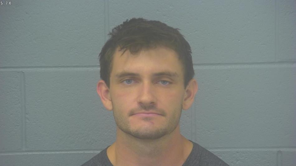 Arrest photo of DILLON MELTON