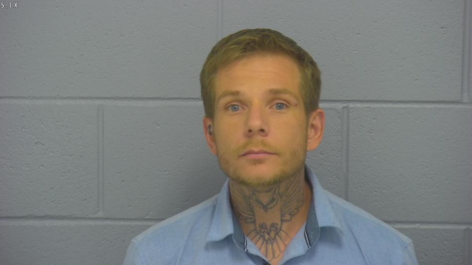 Arrest photo of DILLON HILTON