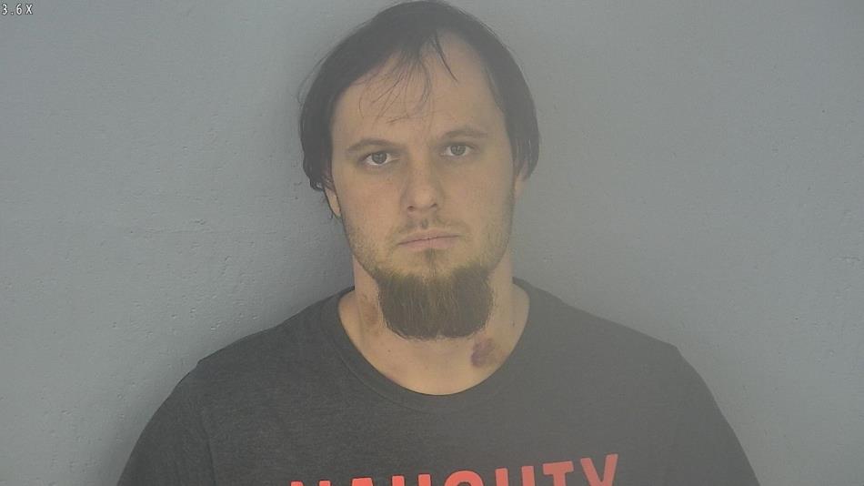Arrest photo of DILLON BRAY