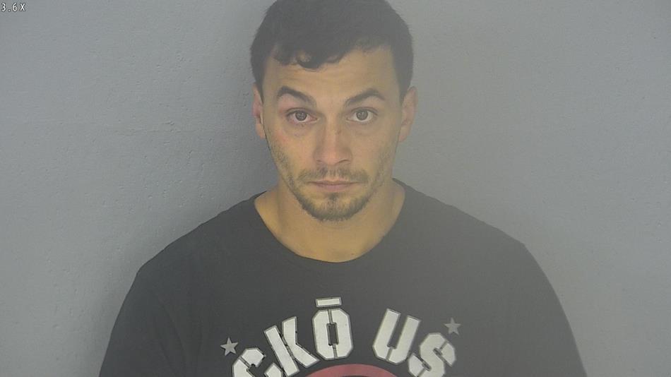 Arrest photo of DIMITRI HELMS