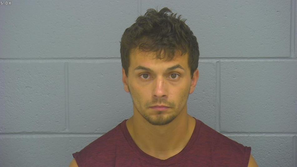 Arrest photo of DIMITRI HELMS