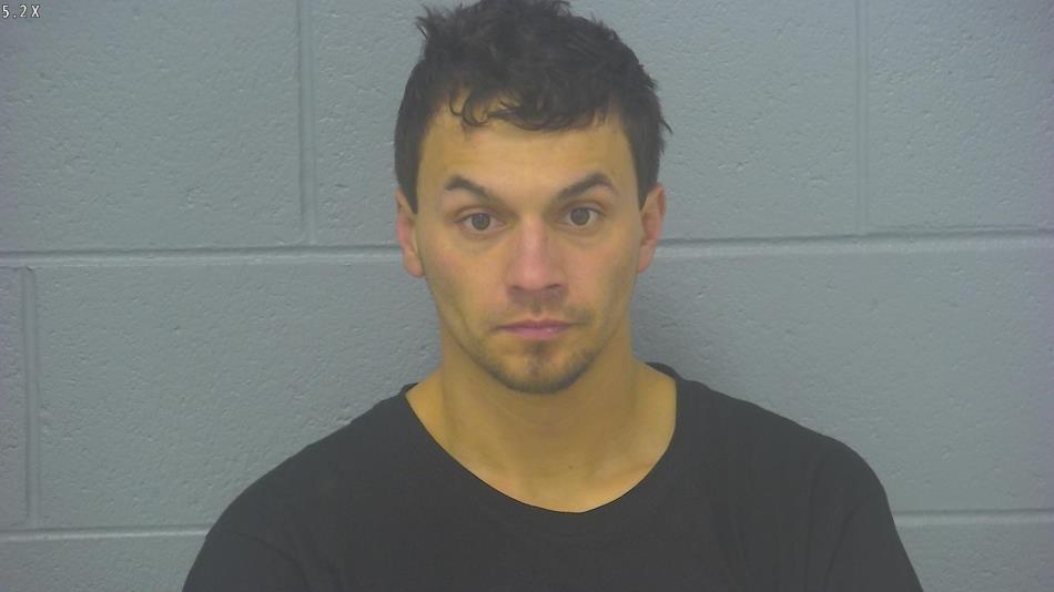 Arrest photo of DIMITRI HELMS