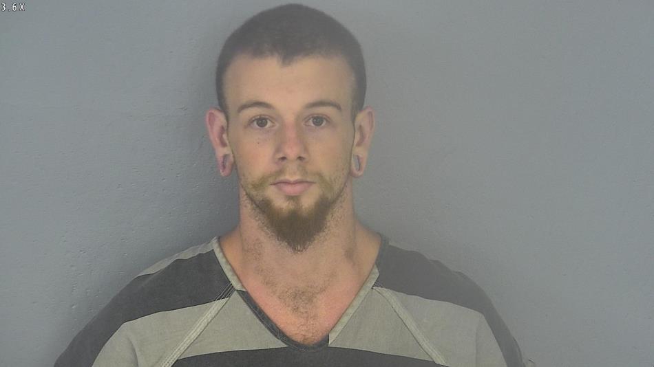 Arrest photo of DOMANIC VOISEY