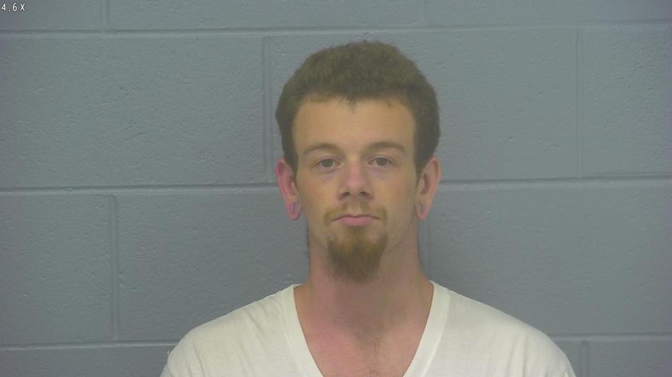 Arrest photo of DOMANIC VOISEY