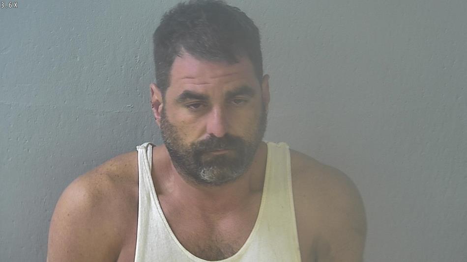 Arrest photo of DOMINIC TORIMINO