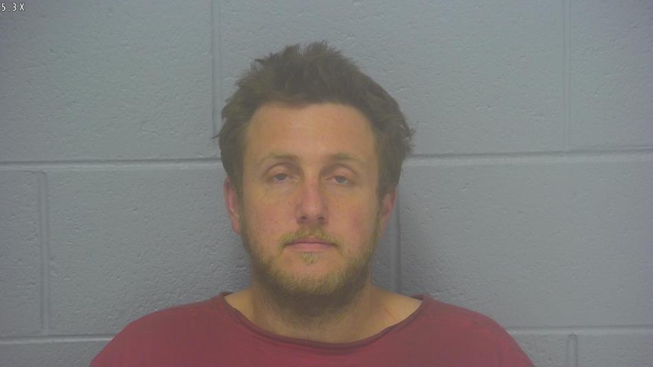 Arrest photo of DOMINIC MARSHALL