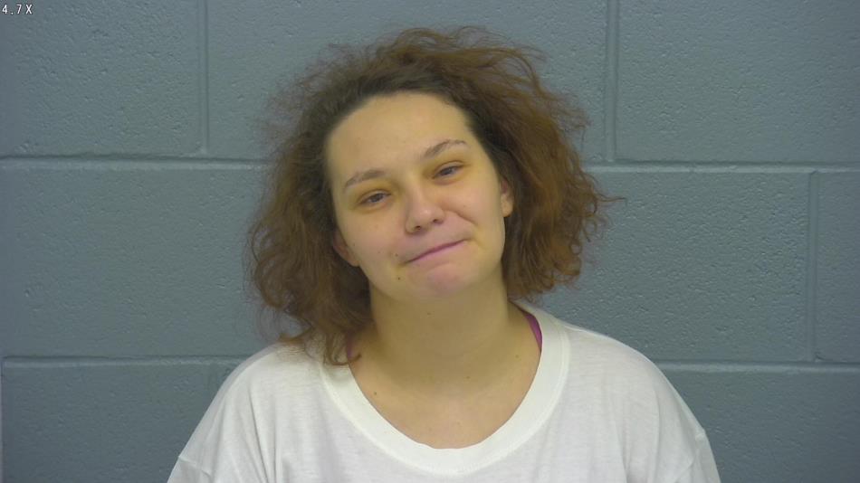 Arrest photo of DOMINIQUE VALLERAND