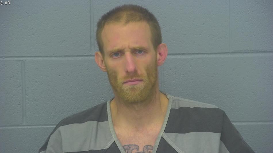Arrest photo of DONALD TIEDEN