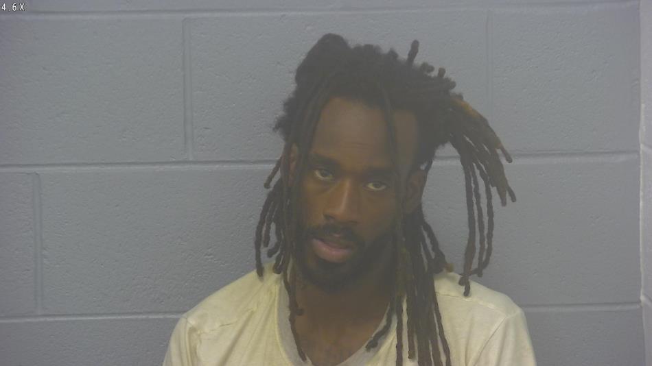 Arrest photo of DONAVON JOHNSON 