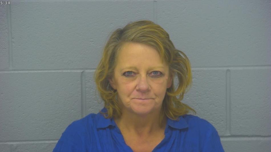 Arrest photo of DONNA SHANNON