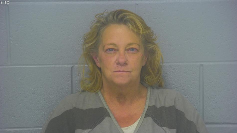 Arrest photo of DONNA SHANNON