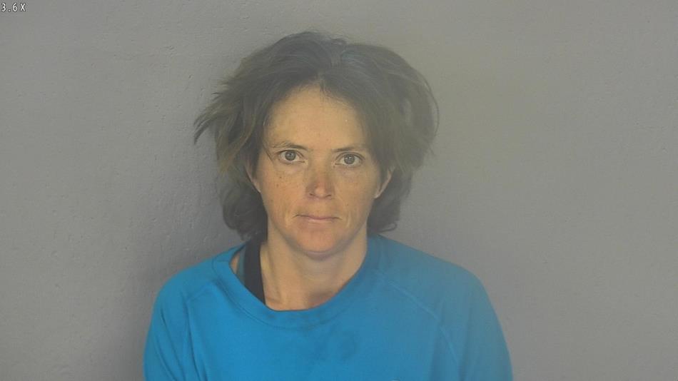 Arrest photo of DONNA CAMPBELL