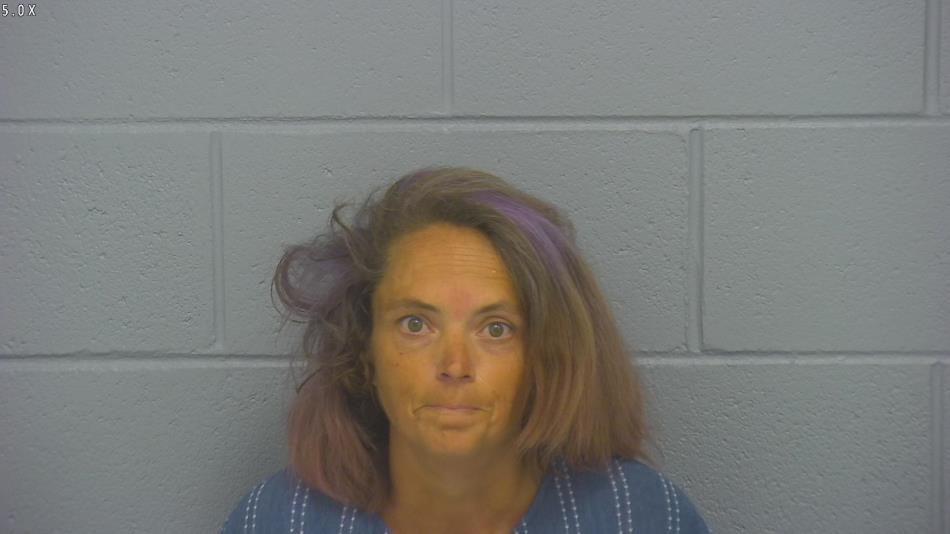 Arrest photo of DONNA CAMPBELL