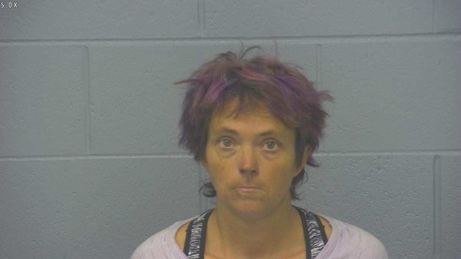 Arrest photo of DONNA CAMPBELL