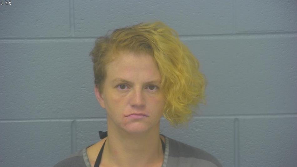 Arrest photo of DONNA LACEY