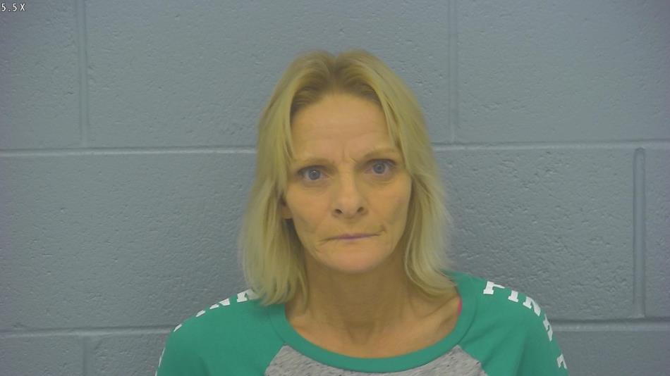 Arrest photo of DONNA LEWIS