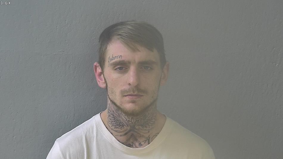 Arrest photo of DRAKE WILCOX