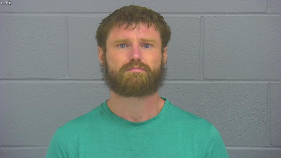 Arrest photo of DRAKE POINTS