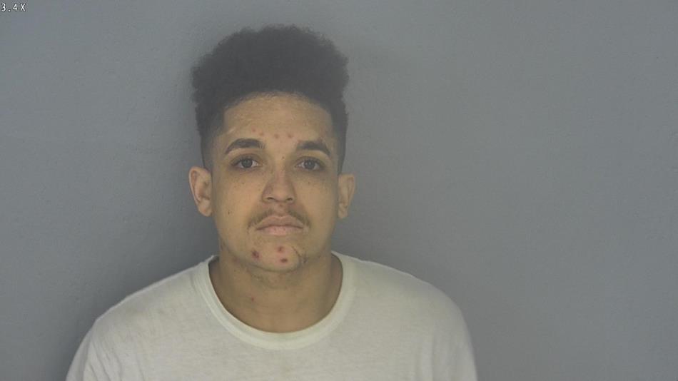 Arrest photo of DRAYDEN DENIS