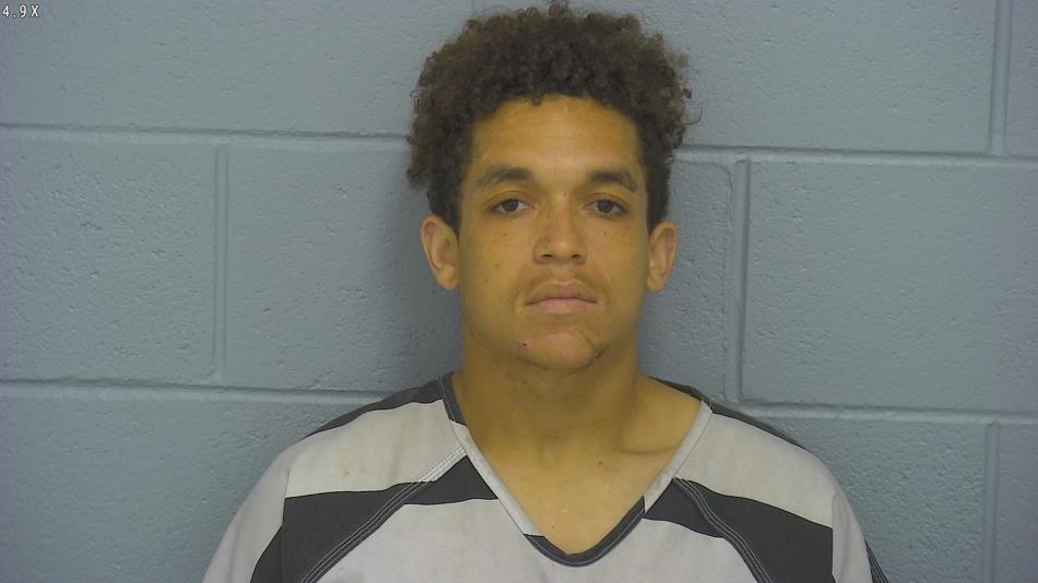 Arrest photo of DRAYDEN DENIS