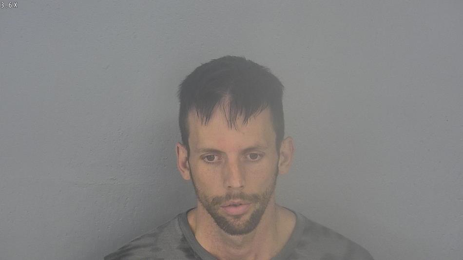 Arrest photo of DRISCO MEDLIN