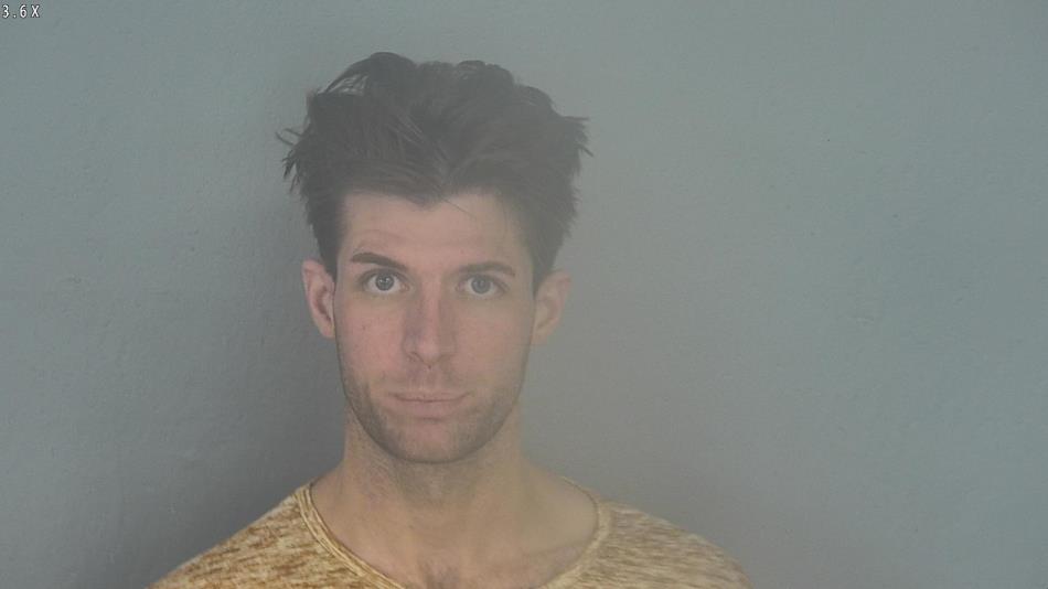 Arrest photo of DUSTIN HORN