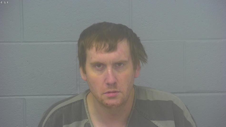 Arrest photo of DUSTIN DILYERD