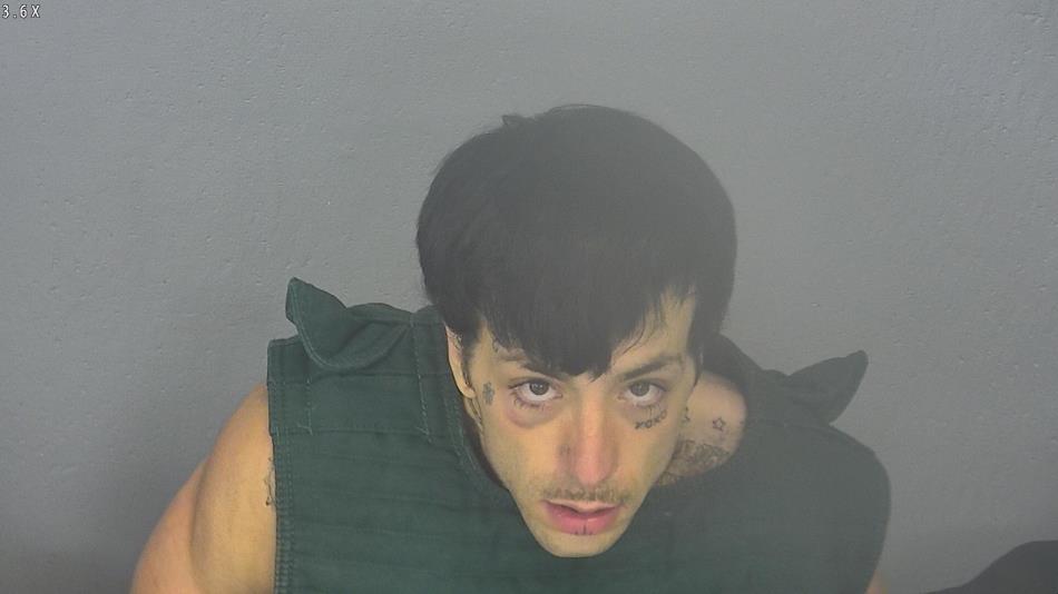 Arrest photo of DUSTIN BOWMAN