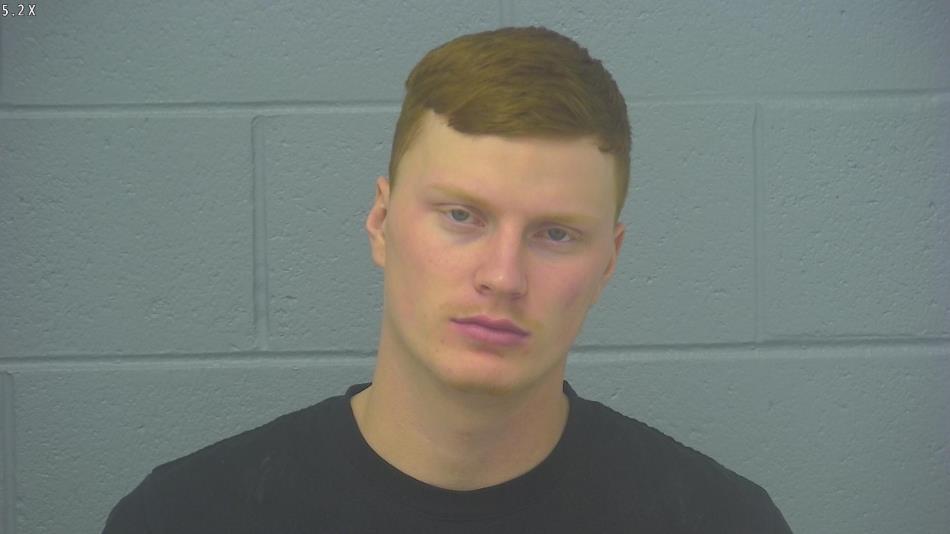 Arrest photo of DUSTIN HARRIS