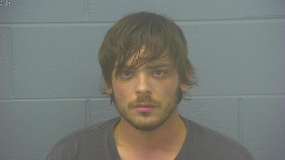 Arrest photo of DUSTIN PARKHURST