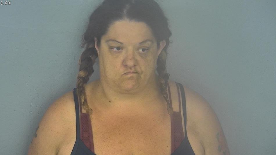 Arrest photo of DUSTIN MOBLEY