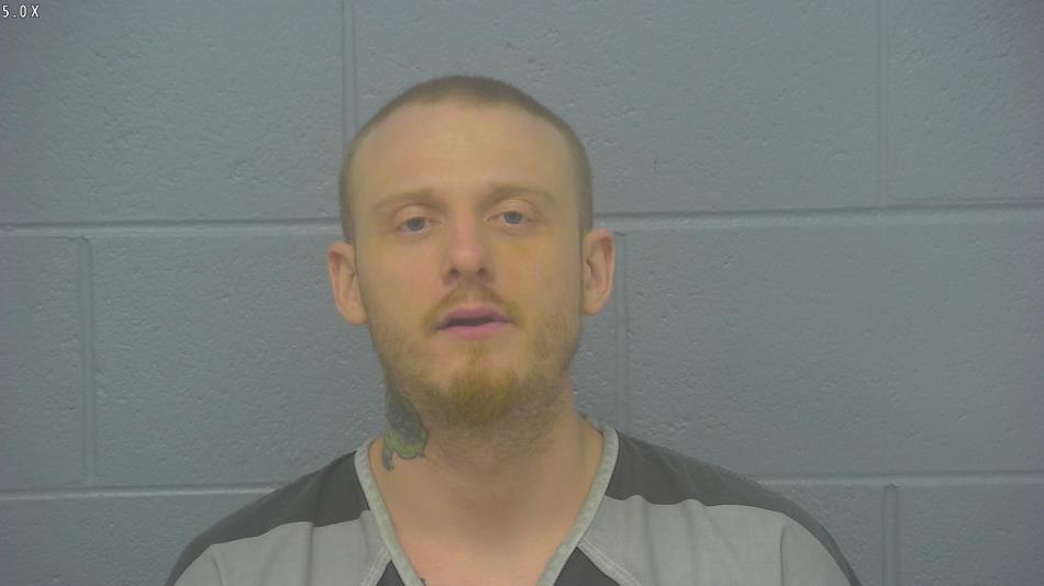 Arrest photo of DUSTIN HARTLINE