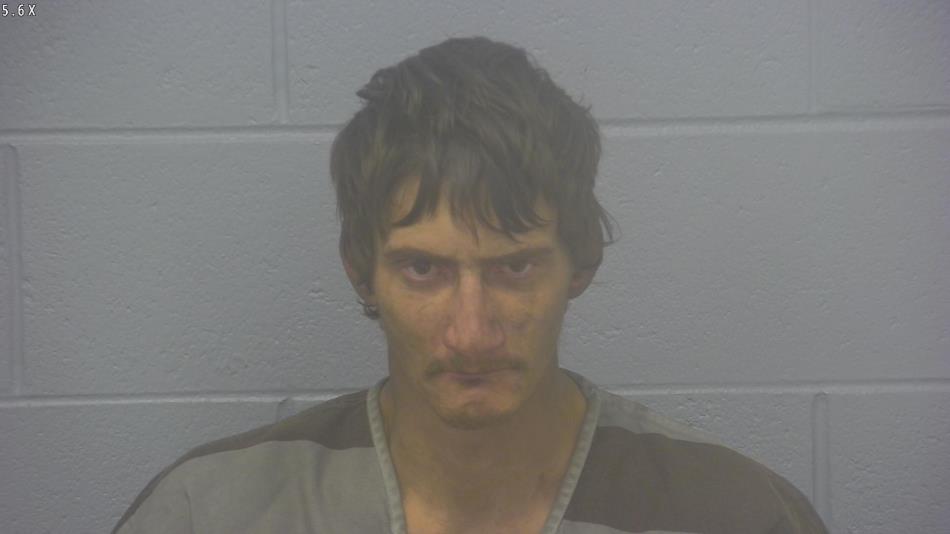 Arrest photo of DUSTIN BLAIR