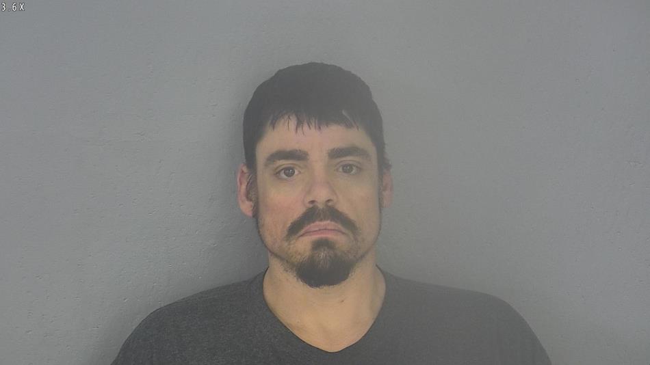 Arrest photo of DUSTIN MCNERNEY