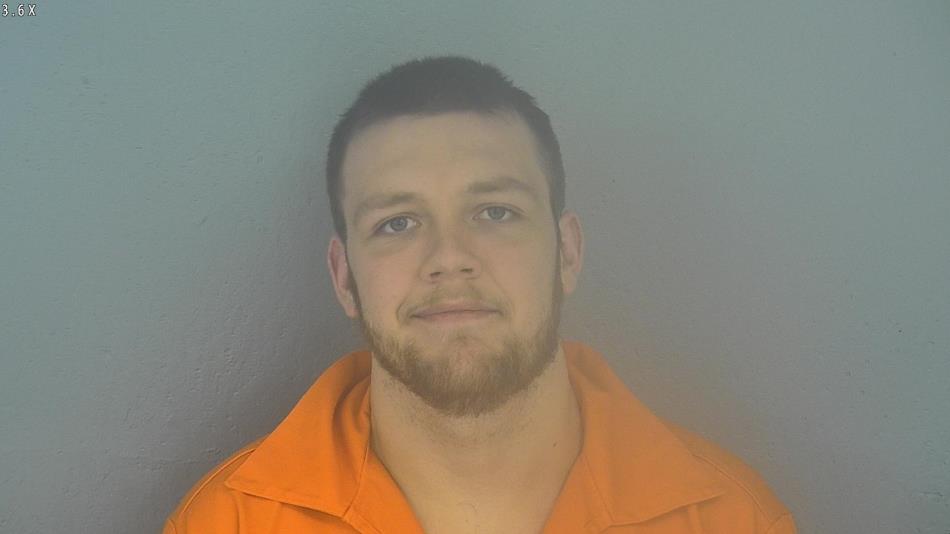 Arrest photo of DYLAN WILLIAMS